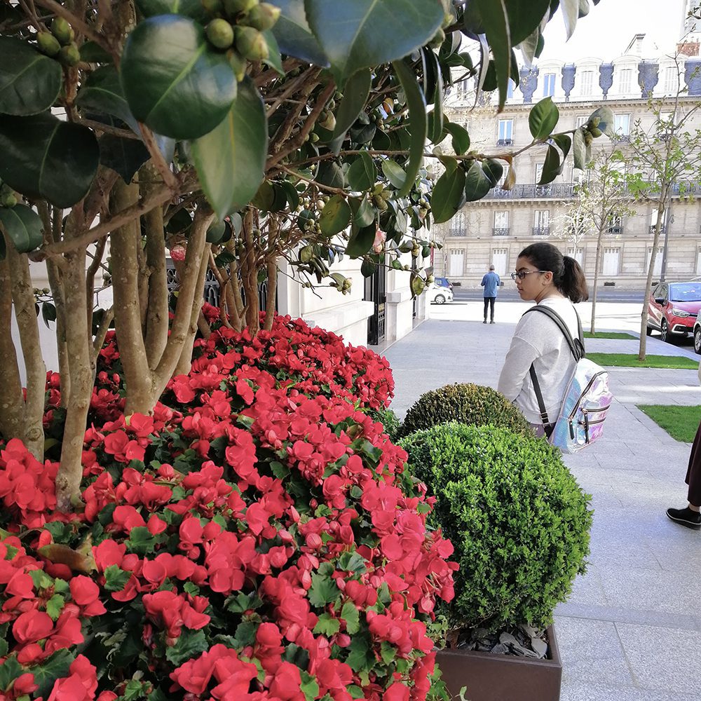 Paris is always in bloom, outside the Peninsula