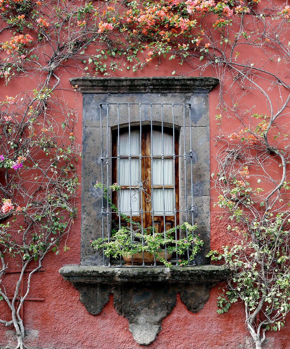 Bouganvillea-covered residential facade in the historic town centre