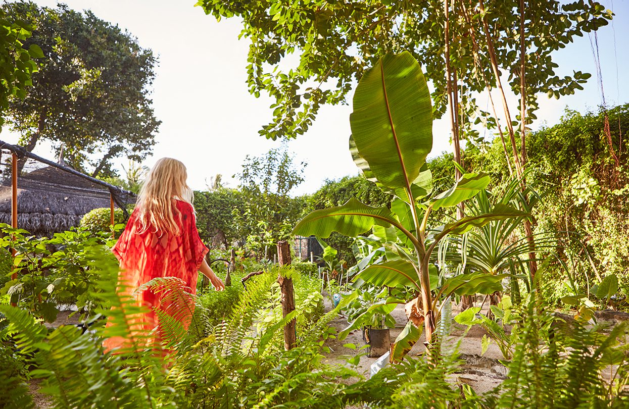 Lux_ South Ari Atoll Herb Garden