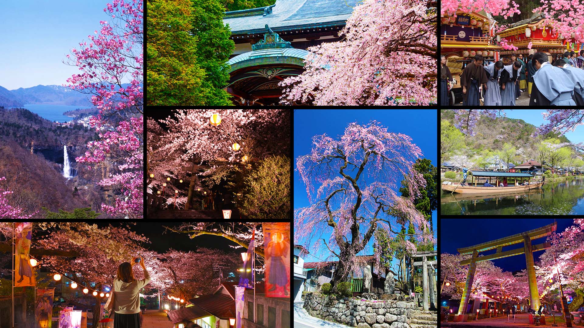 Spring In Nikko, A Celebration Of Festivals & Cherry Blossoms