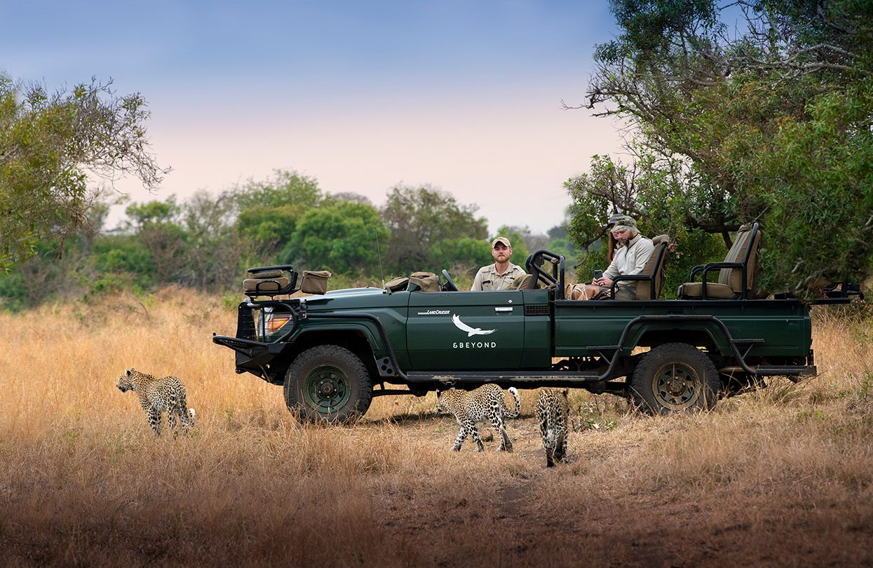 andBeyond Phinda Forest Lodge's Private Game Reserve Game Drive