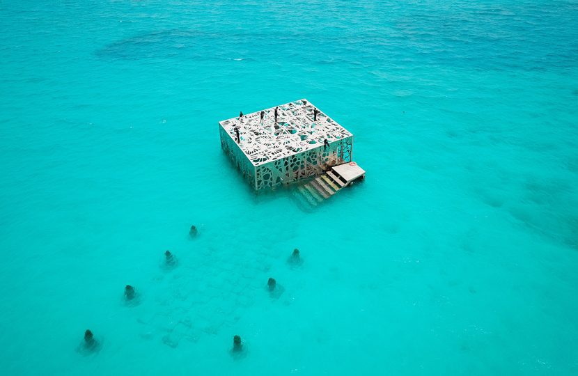 Maldives Mania